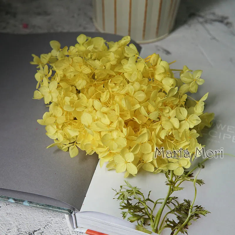 Preserved Hydrangea Flowers for DIY Crafts, Anna Floral Material in 5g, 10g or 20g Options for Resin Projects, Handmade Gifts and Home Decor