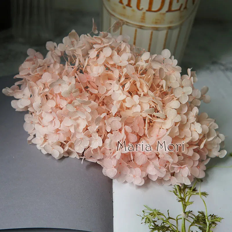 Preserved Hydrangea Flowers for DIY Crafts, Anna Floral Material in 5g, 10g or 20g Options for Resin Projects, Handmade Gifts and Home Decor