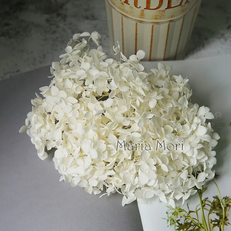 Preserved Hydrangea Flowers for DIY Crafts, Anna Floral Material in 5g, 10g or 20g Options for Resin Projects, Handmade Gifts and Home Decor
