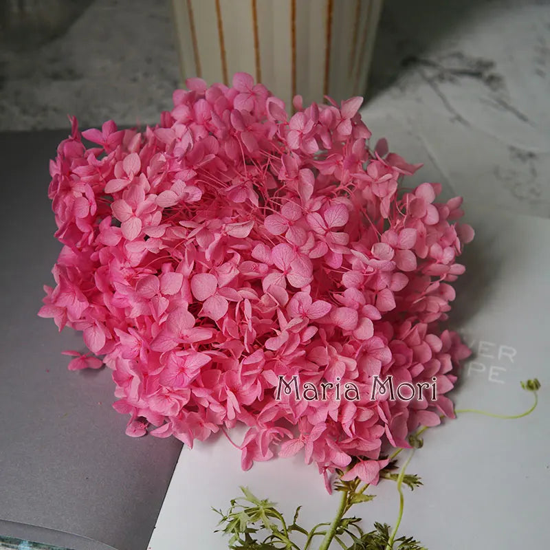 Preserved Hydrangea Flowers for DIY Crafts, Anna Floral Material in 5g, 10g or 20g Options for Resin Projects, Handmade Gifts and Home Decor