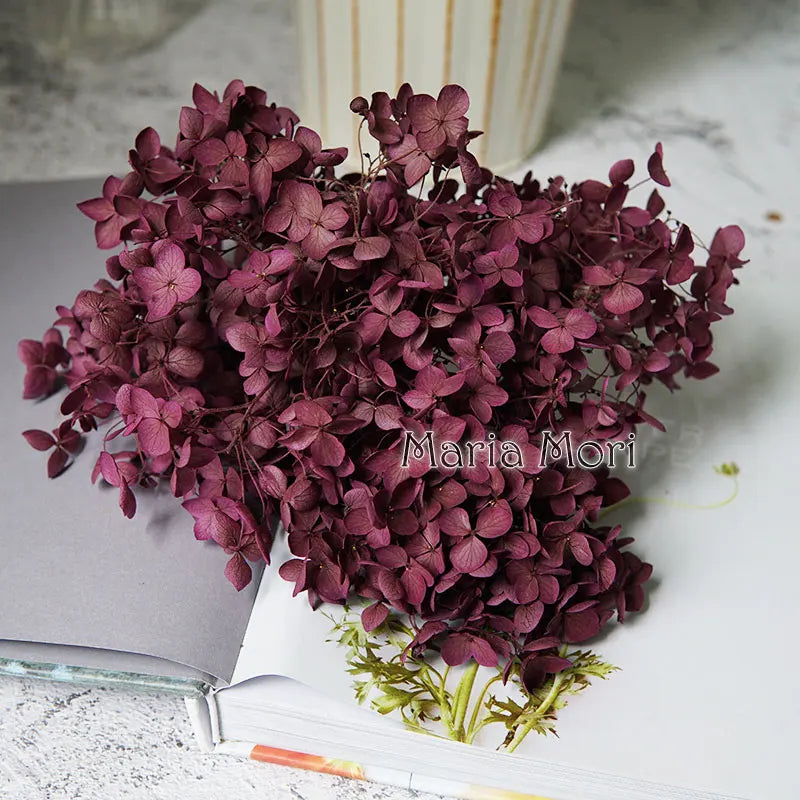 Preserved Hydrangea Flowers for DIY Crafts, Anna Floral Material in 5g, 10g or 20g Options for Resin Projects, Handmade Gifts and Home Decor