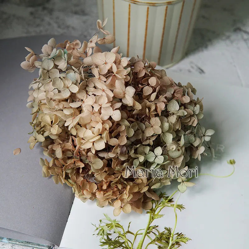 Preserved Hydrangea Flowers for DIY Crafts, Anna Floral Material in 5g, 10g or 20g Options for Resin Projects, Handmade Gifts and Home Decor