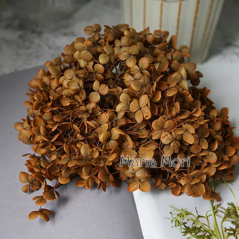 Preserved Hydrangea Flowers for DIY Crafts, Anna Floral Material in 5g, 10g or 20g Options for Resin Projects, Handmade Gifts and Home Decor