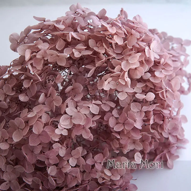 Preserved Hydrangea Flowers for DIY Crafts, Anna Floral Material in 5g, 10g or 20g Options for Resin Projects, Handmade Gifts and Home Decor