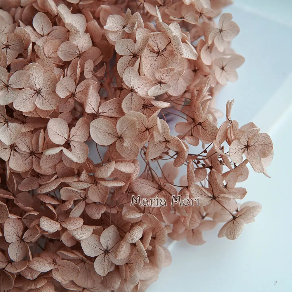 Preserved Hydrangea Flowers for DIY Crafts, Anna Floral Material in 5g, 10g or 20g Options for Resin Projects, Handmade Gifts and Home Decor
