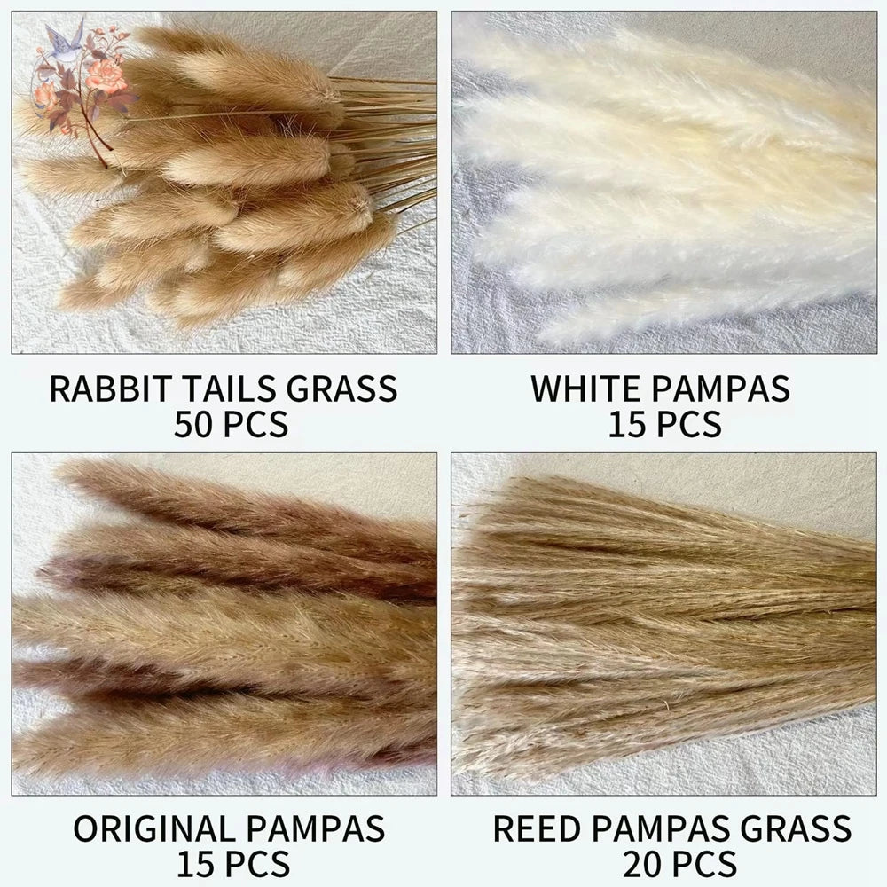 Dried Pampas Grass Bouquet, Natural Decorative Flowers and Bunny Tail Grass for Boho Vase Styling, Home Displays, Weddings and Party Decor