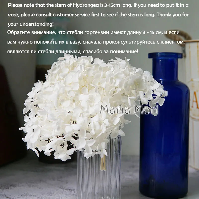 Preserved Hydrangea Flowers for DIY Crafts, Anna Floral Material in 5g, 10g or 20g Options for Resin Projects, Handmade Gifts and Home Decor