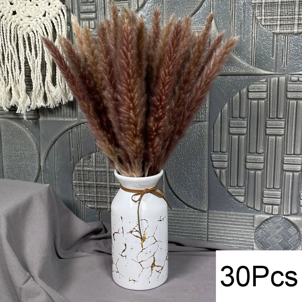 Dried Pampas Grass Bouquet, Natural Decorative Flowers and Bunny Tail Grass for Boho Vase Styling, Home Displays, Weddings and Party Decor