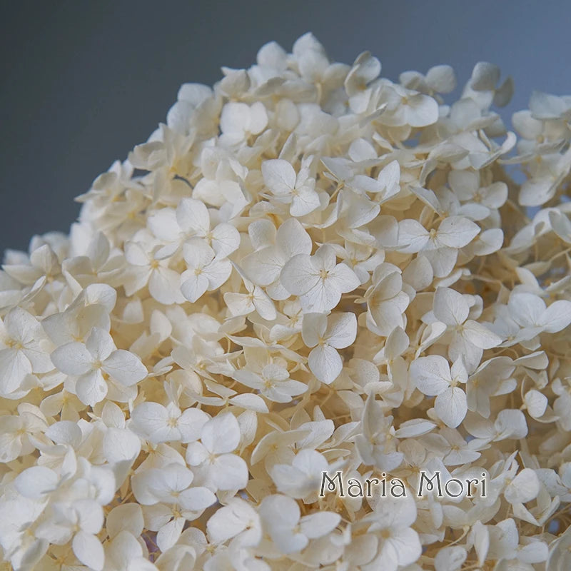 Preserved Hydrangea Flowers for DIY Crafts, Anna Floral Material in 5g, 10g or 20g Options for Resin Projects, Handmade Gifts and Home Decor