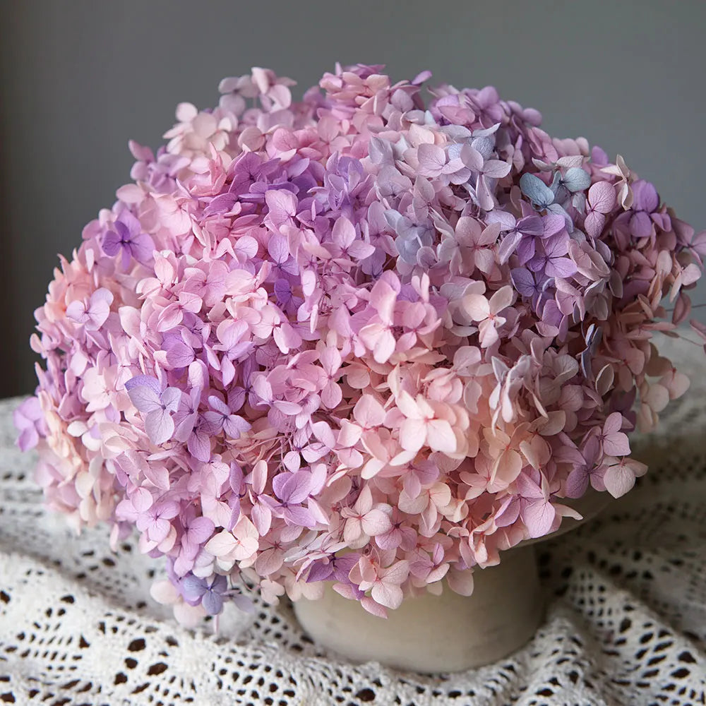 Preserved Hydrangea Flowers for DIY Crafts, Anna Floral Material in 5g, 10g or 20g Options for Resin Projects, Handmade Gifts and Home Decor