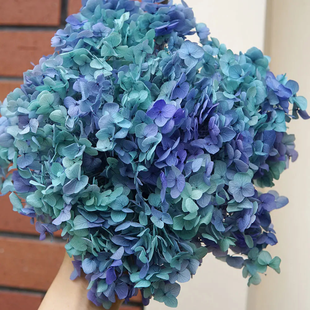 Preserved Hydrangea Flowers for DIY Crafts, Anna Floral Material in 5g, 10g or 20g Options for Resin Projects, Handmade Gifts and Home Decor