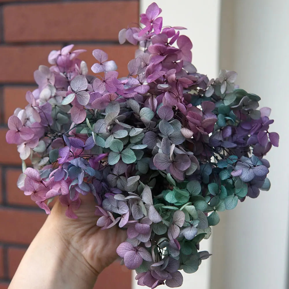 Preserved Hydrangea Flowers for DIY Crafts, Anna Floral Material in 5g, 10g or 20g Options for Resin Projects, Handmade Gifts and Home Decor