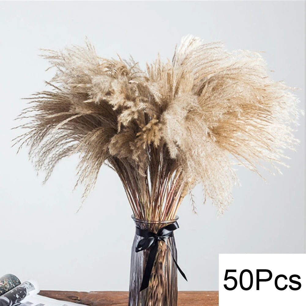 Dried Pampas Grass Bouquet, Natural Decorative Flowers and Bunny Tail Grass for Boho Vase Styling, Home Displays, Weddings and Party Decor