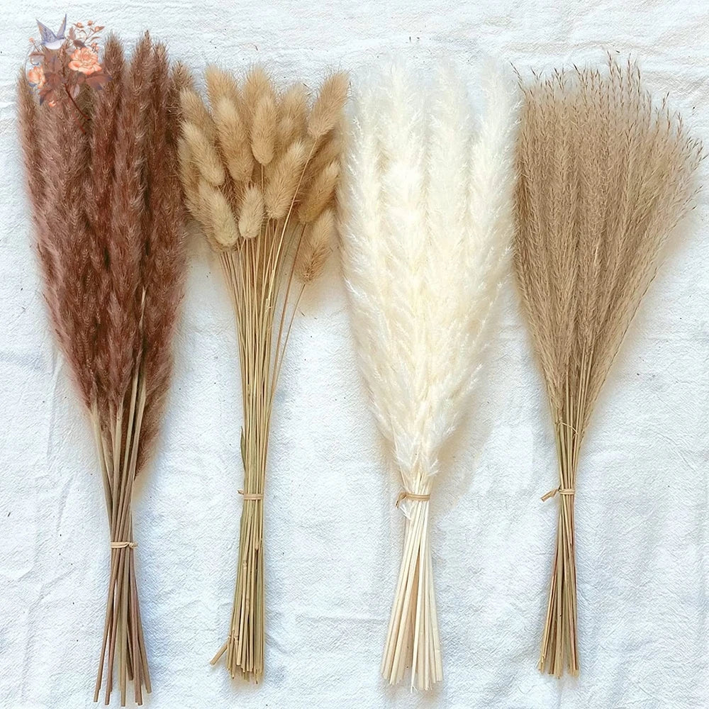 Dried Pampas Grass Bouquet, Natural Decorative Flowers and Bunny Tail Grass for Boho Vase Styling, Home Displays, Weddings and Party Decor