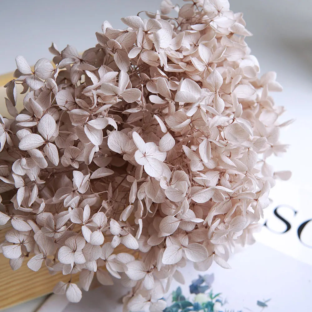 Preserved Hydrangea Flowers for DIY Crafts, Anna Floral Material in 5g, 10g or 20g Options for Resin Projects, Handmade Gifts and Home Decor