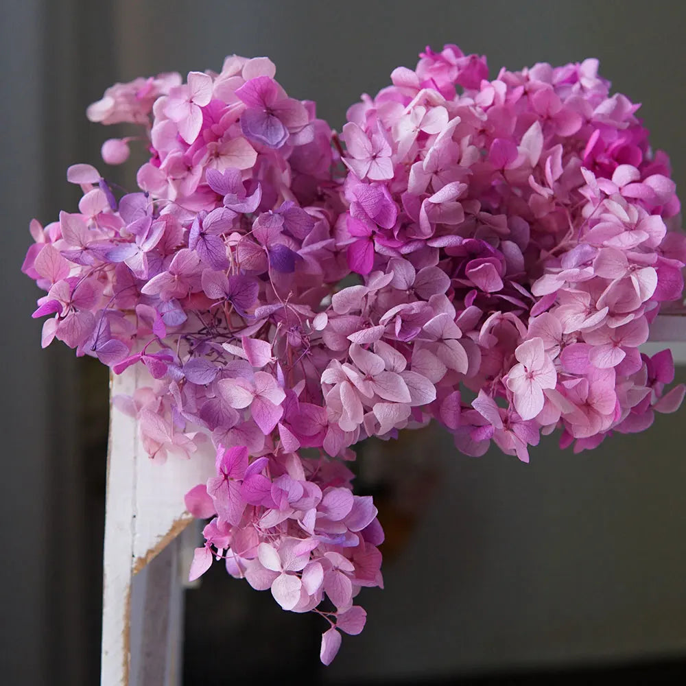 Preserved Hydrangea Flowers for DIY Crafts, Anna Floral Material in 5g, 10g or 20g Options for Resin Projects, Handmade Gifts and Home Decor