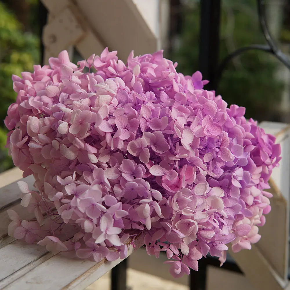 Preserved Hydrangea Flowers for DIY Crafts, Anna Floral Material in 5g, 10g or 20g Options for Resin Projects, Handmade Gifts and Home Decor