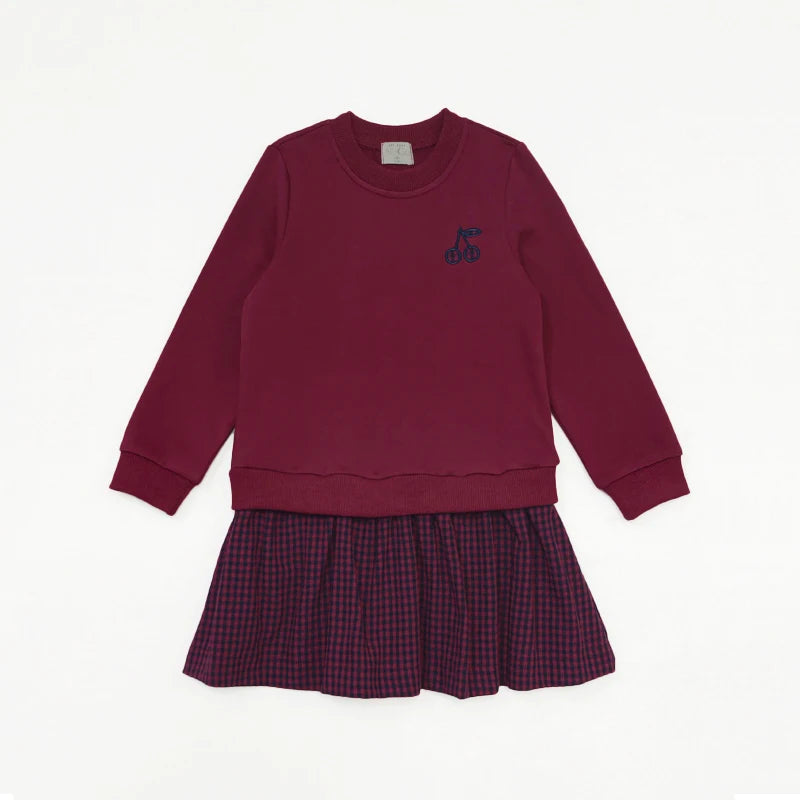 Maroon Gingham Sibling Matching Outfits, Cotton Navy and Burgundy Sweatshirt Dresses, Tops, Jumpers and Baby Rompers for Boys and Girls