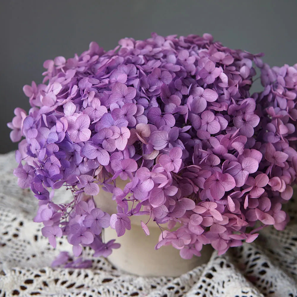 Preserved Hydrangea Flowers for DIY Crafts, Anna Floral Material in 5g, 10g or 20g Options for Resin Projects, Handmade Gifts and Home Decor