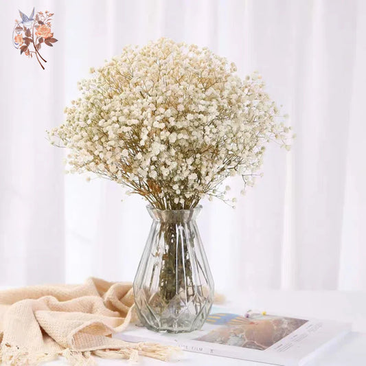 Dried Baby's Breath Bouquet 60g, Natural Gypsophila Flowers for Wedding Centerpieces, Home Table Decor and Valentine's Day Gifts