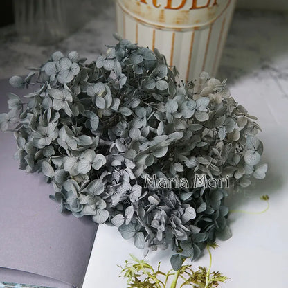 Preserved Hydrangea Flowers for DIY Crafts, Anna Floral Material in 5g, 10g or 20g Options for Resin Projects, Handmade Gifts and Home Decor