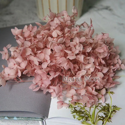 Preserved Hydrangea Flowers for DIY Crafts, Anna Floral Material in 5g, 10g or 20g Options for Resin Projects, Handmade Gifts and Home Decor