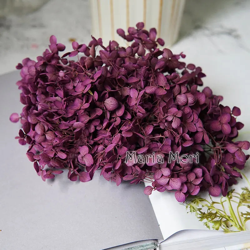 Preserved Hydrangea Flowers for DIY Crafts, Anna Floral Material in 5g, 10g or 20g Options for Resin Projects, Handmade Gifts and Home Decor