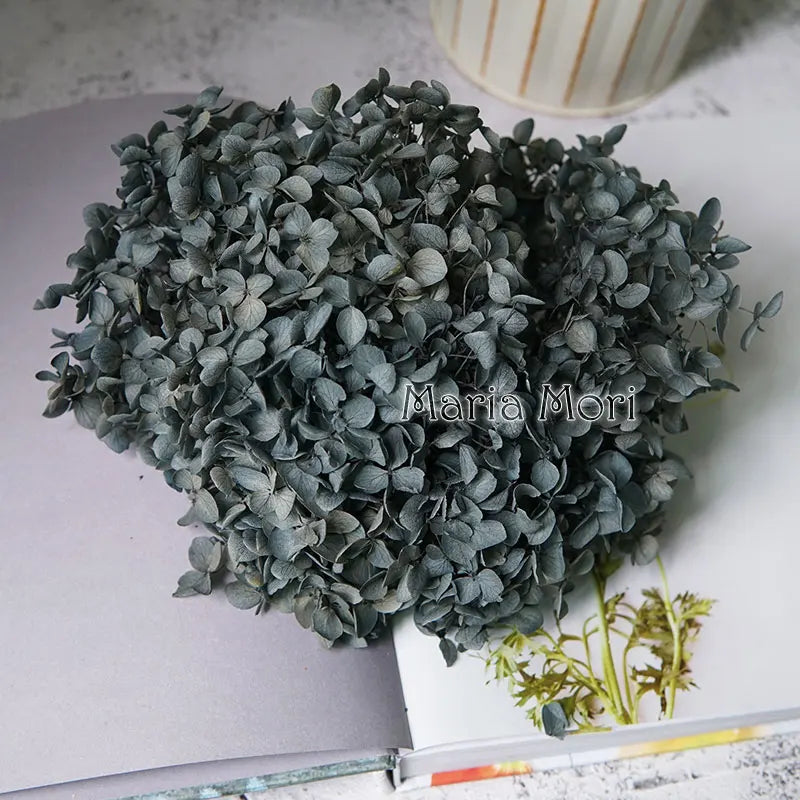 Preserved Hydrangea Flowers for DIY Crafts, Anna Floral Material in 5g, 10g or 20g Options for Resin Projects, Handmade Gifts and Home Decor