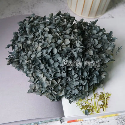 Preserved Hydrangea Flowers for DIY Crafts, Anna Floral Material in 5g, 10g or 20g Options for Resin Projects, Handmade Gifts and Home Decor