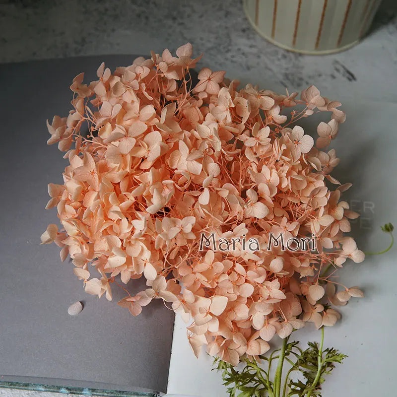 Preserved Hydrangea Flowers for DIY Crafts, Anna Floral Material in 5g, 10g or 20g Options for Resin Projects, Handmade Gifts and Home Decor