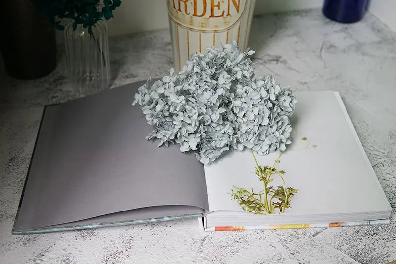 Preserved Hydrangea Flowers for DIY Crafts, Anna Floral Material in 5g, 10g or 20g Options for Resin Projects, Handmade Gifts and Home Decor