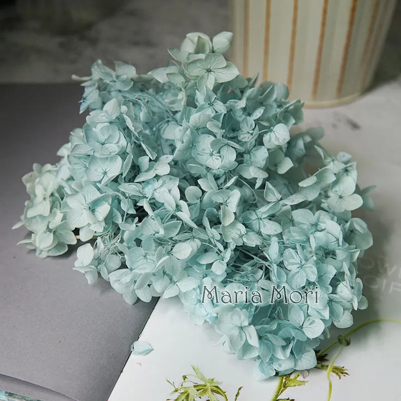 Preserved Hydrangea Flowers for DIY Crafts, Anna Floral Material in 5g, 10g or 20g Options for Resin Projects, Handmade Gifts and Home Decor