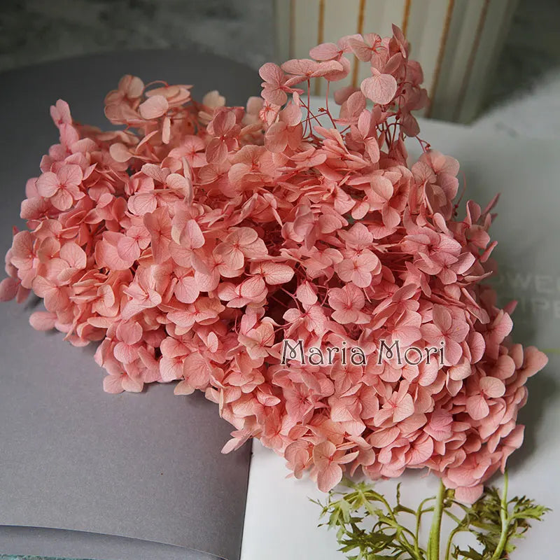 Preserved Hydrangea Flowers for DIY Crafts, Anna Floral Material in 5g, 10g or 20g Options for Resin Projects, Handmade Gifts and Home Decor