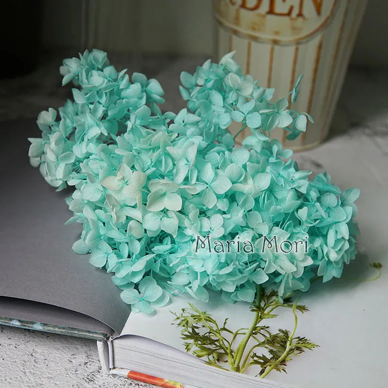 Preserved Hydrangea Flowers for DIY Crafts, Anna Floral Material in 5g, 10g or 20g Options for Resin Projects, Handmade Gifts and Home Decor