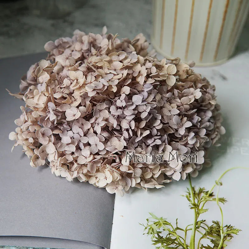 Preserved Hydrangea Flowers for DIY Crafts, Anna Floral Material in 5g, 10g or 20g Options for Resin Projects, Handmade Gifts and Home Decor