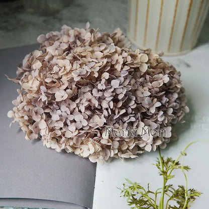 Preserved Hydrangea Flowers for DIY Crafts, Anna Floral Material in 5g, 10g or 20g Options for Resin Projects, Handmade Gifts and Home Decor