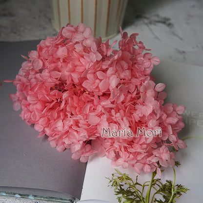 Preserved Hydrangea Flowers for DIY Crafts, Anna Floral Material in 5g, 10g or 20g Options for Resin Projects, Handmade Gifts and Home Decor