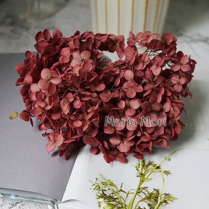 Preserved Hydrangea Flowers for DIY Crafts, Anna Floral Material in 5g, 10g or 20g Options for Resin Projects, Handmade Gifts and Home Decor