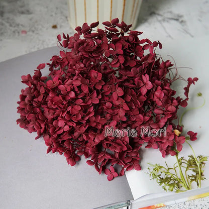 Preserved Hydrangea Flowers for DIY Crafts, Anna Floral Material in 5g, 10g or 20g Options for Resin Projects, Handmade Gifts and Home Decor