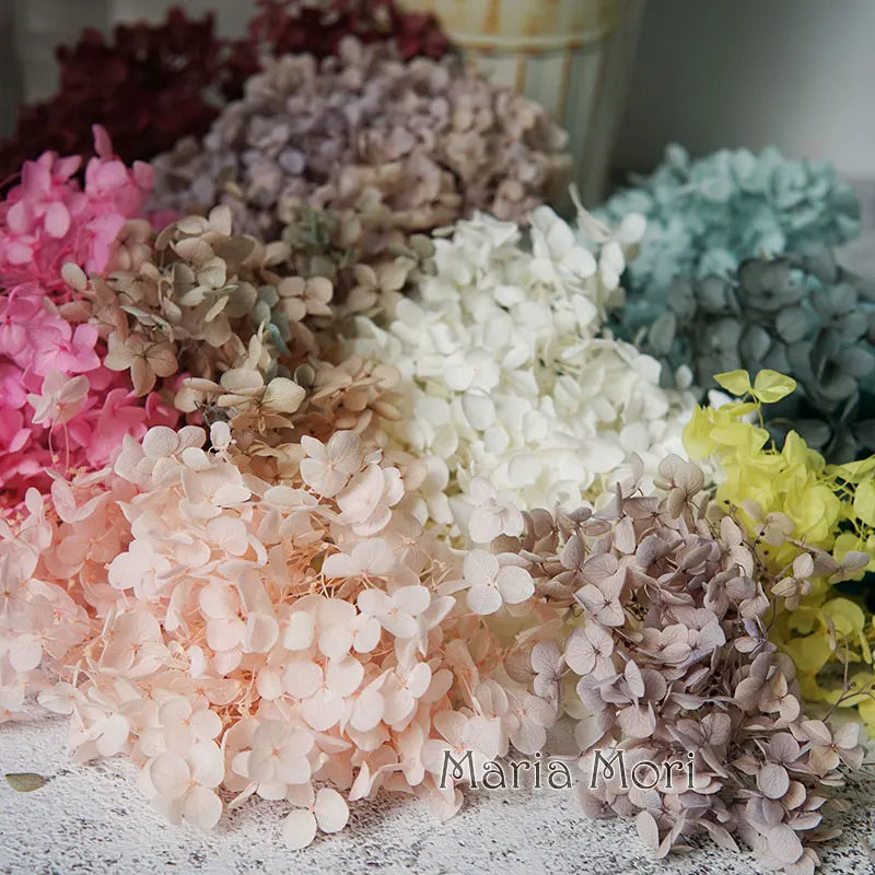 Preserved Hydrangea Flowers for DIY Crafts, Anna Floral Material in 5g, 10g or 20g Options for Resin Projects, Handmade Gifts and Home Decor