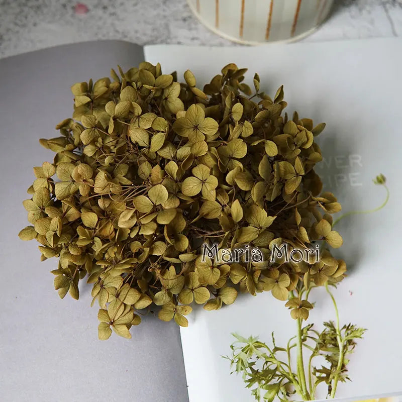 Preserved Hydrangea Flowers for DIY Crafts, Anna Floral Material in 5g, 10g or 20g Options for Resin Projects, Handmade Gifts and Home Decor