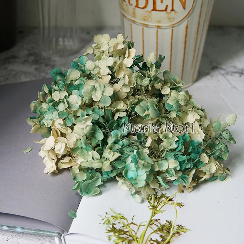Preserved Hydrangea Flowers for DIY Crafts, Anna Floral Material in 5g, 10g or 20g Options for Resin Projects, Handmade Gifts and Home Decor