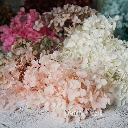 Preserved Hydrangea Flowers for DIY Crafts, Anna Floral Material in 5g, 10g or 20g Options for Resin Projects, Handmade Gifts and Home Decor
