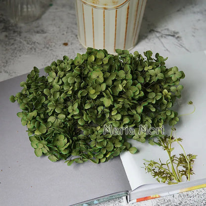 Preserved Hydrangea Flowers for DIY Crafts, Anna Floral Material in 5g, 10g or 20g Options for Resin Projects, Handmade Gifts and Home Decor
