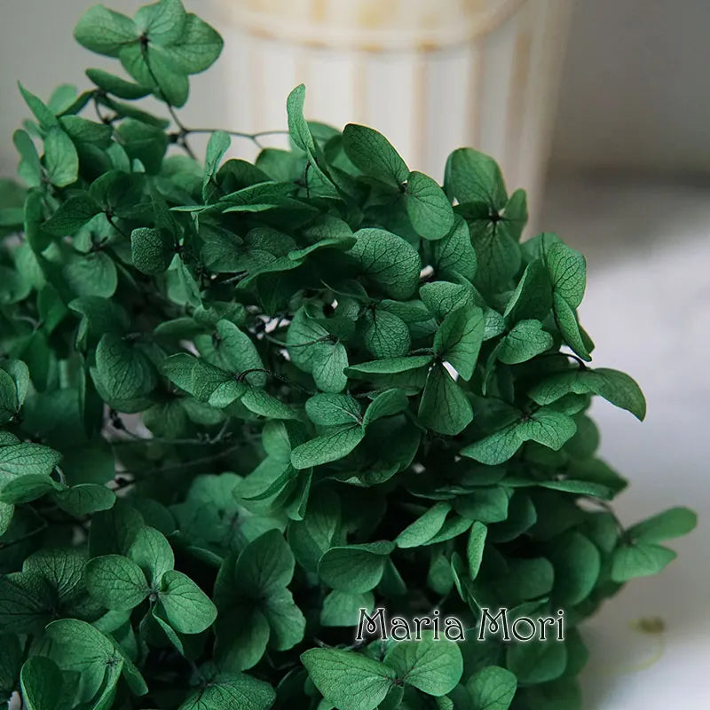 Preserved Hydrangea Flowers for DIY Crafts, Anna Floral Material in 5g, 10g or 20g Options for Resin Projects, Handmade Gifts and Home Decor