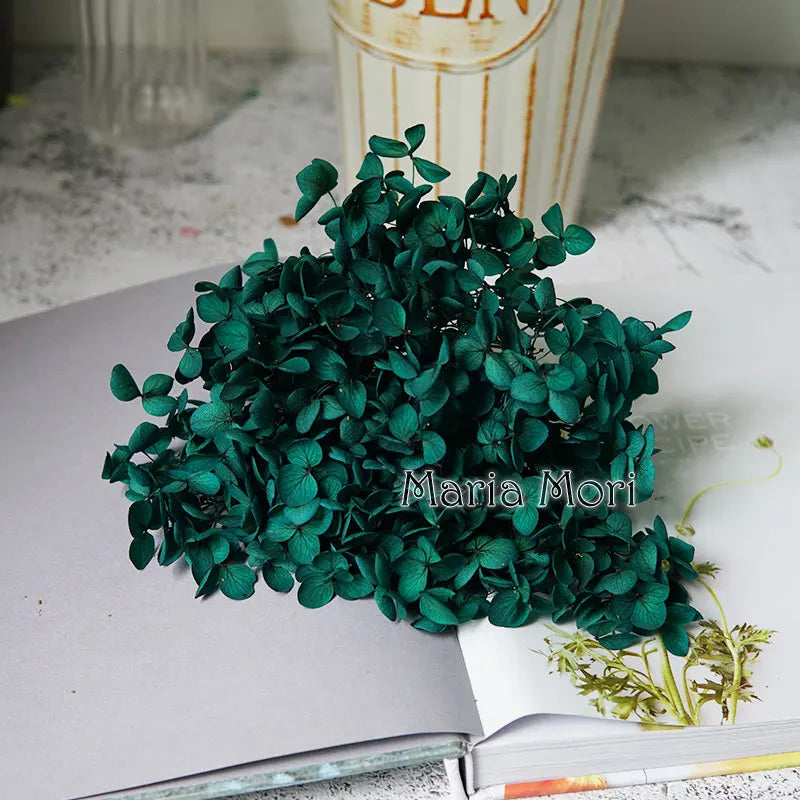 Preserved Hydrangea Flowers for DIY Crafts, Anna Floral Material in 5g, 10g or 20g Options for Resin Projects, Handmade Gifts and Home Decor