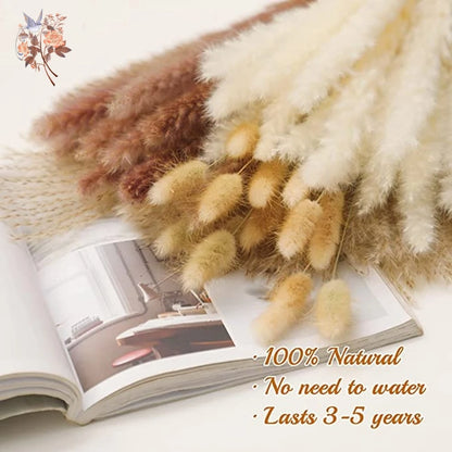 Dried Pampas Grass Bouquet, Natural Decorative Flowers and Bunny Tail Grass for Boho Vase Styling, Home Displays, Weddings and Party Decor