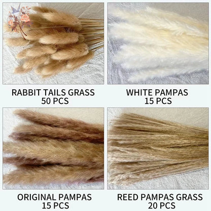 Dried Pampas Grass Bouquet, Natural Decorative Flowers and Bunny Tail Grass for Boho Vase Styling, Home Displays, Weddings and Party Decor