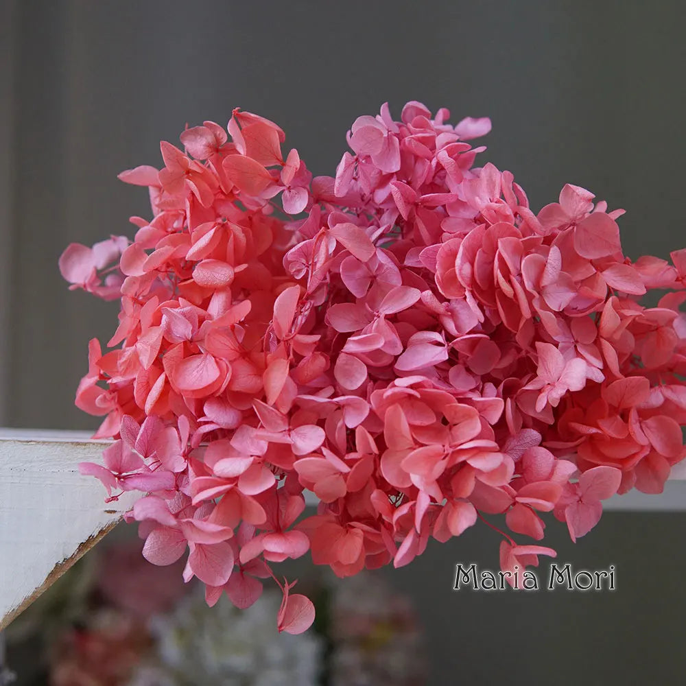 Preserved Hydrangea Flowers for DIY Crafts, Anna Floral Material in 5g, 10g or 20g Options for Resin Projects, Handmade Gifts and Home Decor