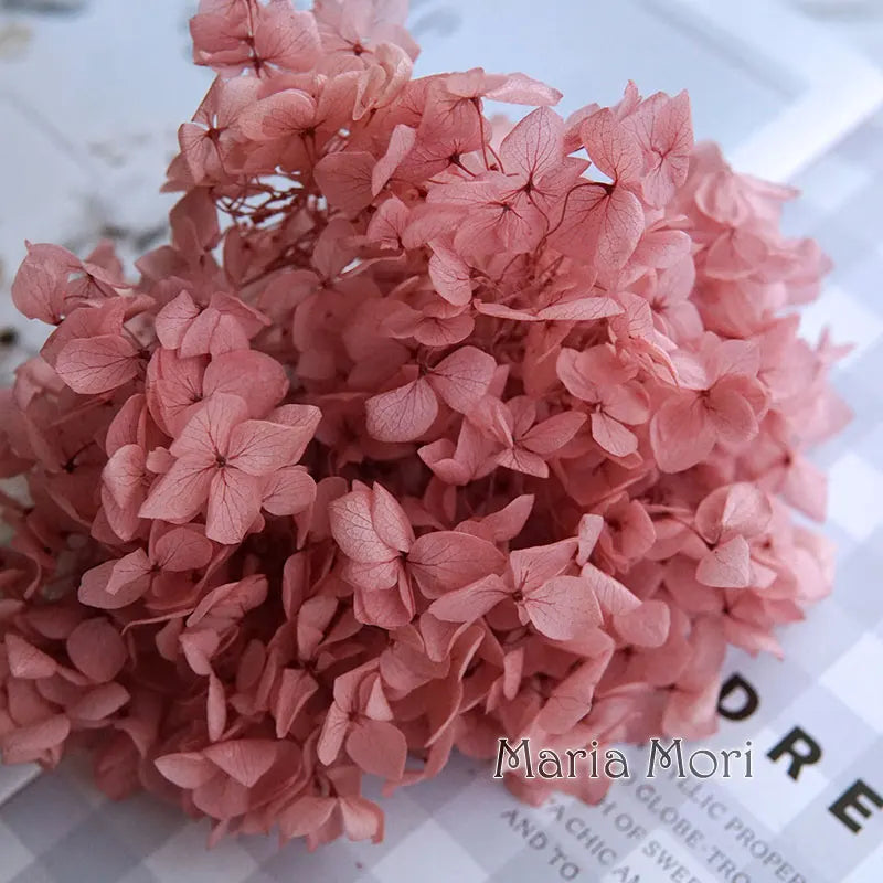 Preserved Hydrangea Flowers for DIY Crafts, Anna Floral Material in 5g, 10g or 20g Options for Resin Projects, Handmade Gifts and Home Decor